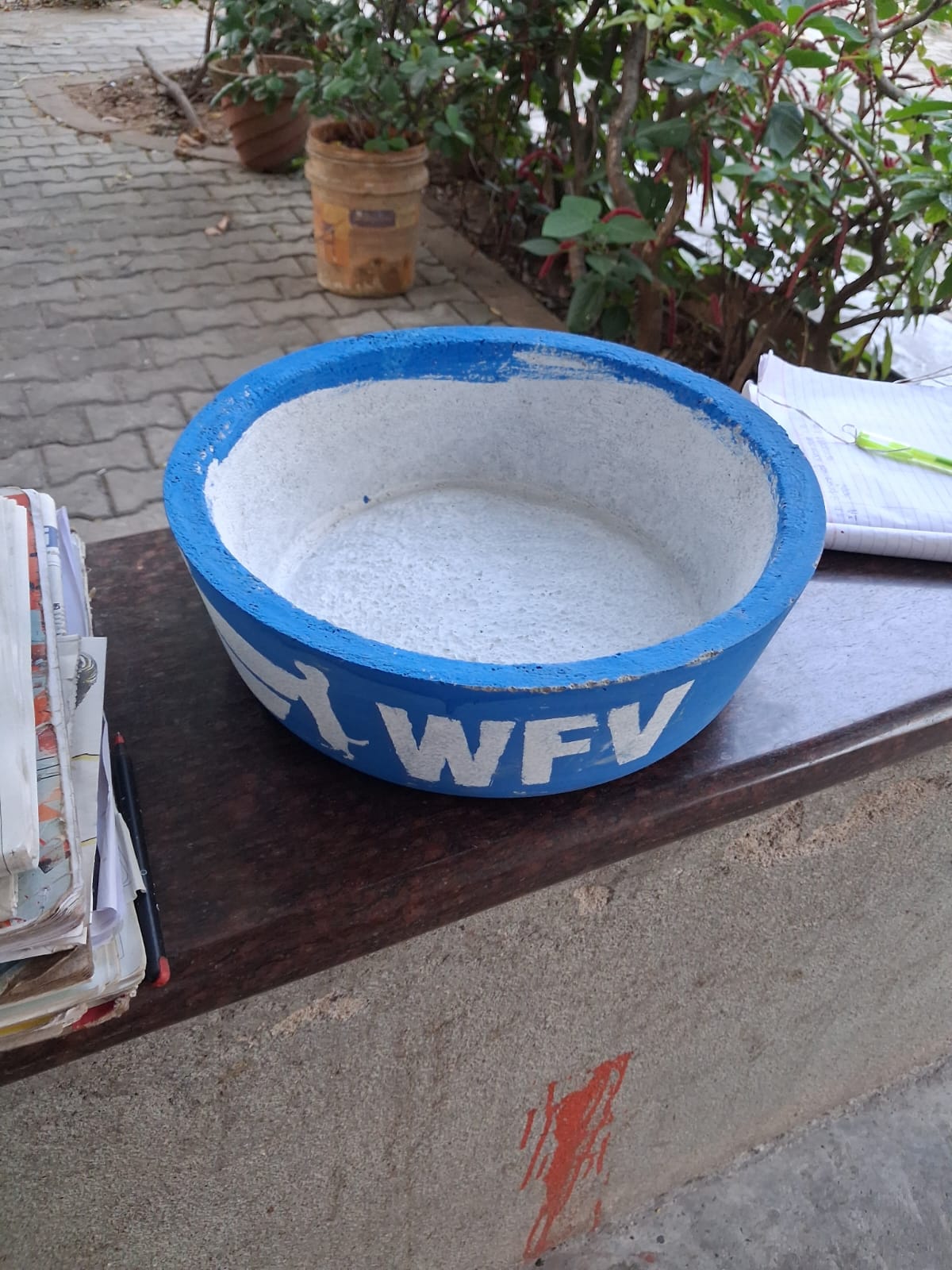 OMR Apartment Community Leads by Example: Plaza Opulance Residents Set Up Water Bowls for Birds and Stray Animals